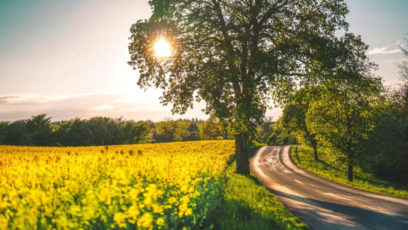 19 Natuurparels In Denemarken | VisitDenmark